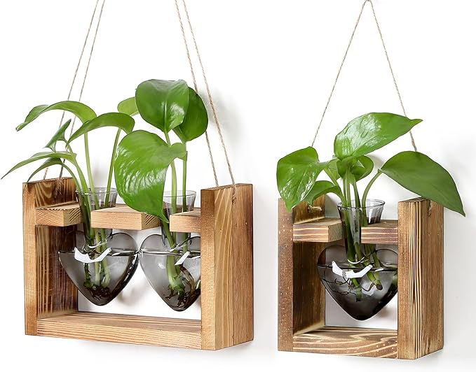 2+1 Plant Terrarium Plant Propagation Station Birthday Gifts for Women Home Office Decor with Wooden Stand