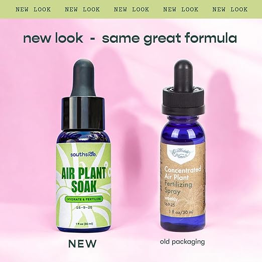 Air Plant Fertilizing Concentrated Soak by Southside Plants - Fertilizer Mist for Houseplants, Weekly Plant Food - Gentle Mist Formula for Miracle Feed & Grow - 1 oz