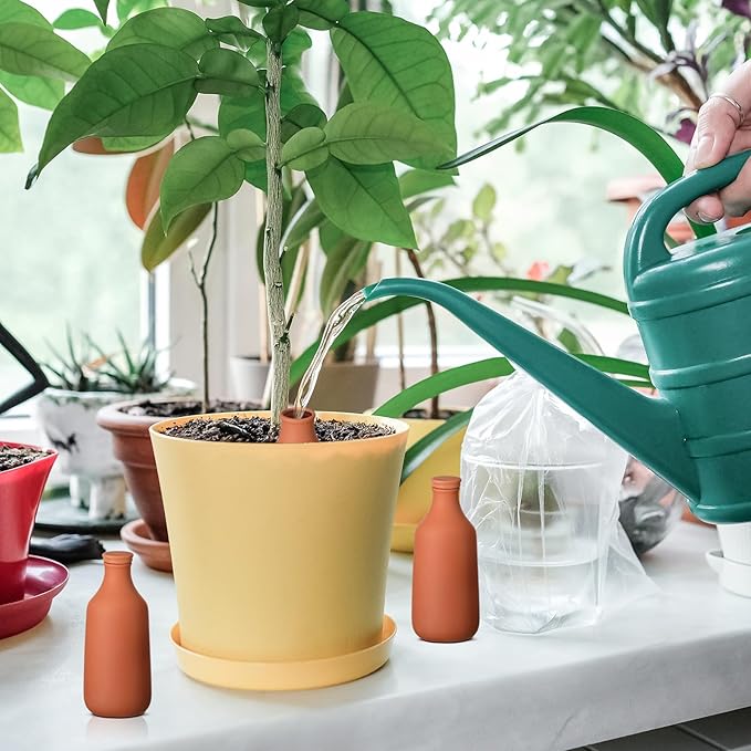 2 Pcs 24oz Ollas Terracotta Watering Pots Self Watering Planter Insert Terracotta Globes Clay for Outdoor Indoor Garden Plants, Easy to Refill