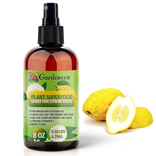 𝐁𝐄𝐒𝐓𝐒𝐄𝐋𝐋𝐄𝐑 Plant Superfood for Citron Trees with B1 Vitamin, Glucose and Essential Minerals - Organic Plant Food Fertilizer for Indoor & Outdoor Citron Plant Care - 8oz