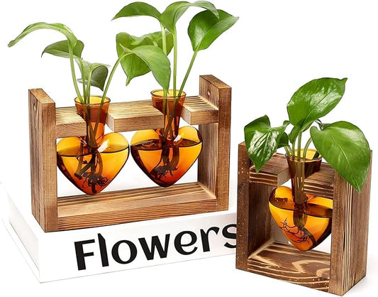 2+1 Plant Terrarium Plant Propagation Station Birthday Gifts for Women Home Office Decor with Wooden Stand