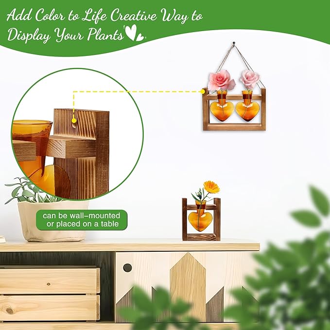 2+1 Plant Terrarium Plant Propagation Station Birthday Gifts for Women Home Office Decor with Wooden Stand