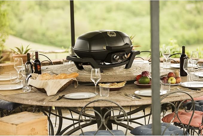 Napoleon TravelQ PRO285 Portable Natural Gas Grill, Black, 2 Burners, Tailgating, Camping, and Small Outdoor Spaces