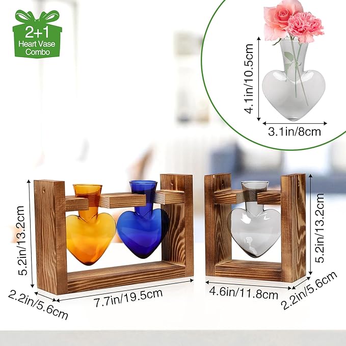 2+1 Plant Terrarium Plant Propagation Station Birthday Gifts for Women Home Office Decor with Wooden Stand