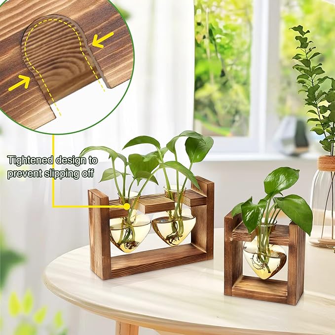 2+1 Plant Terrarium Plant Propagation Station Birthday Gifts for Women Home Office Decor with Wooden Stand