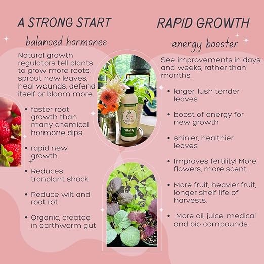 VermisTerra Vitality 16 oz - Growth Accelerator, Energy Booster, Seedling Fertilizer, Organic Plant Food, Promote Rapid Growth, All Plants, Root Cuttings, Will Not Burn, Reduces Transplant Shock