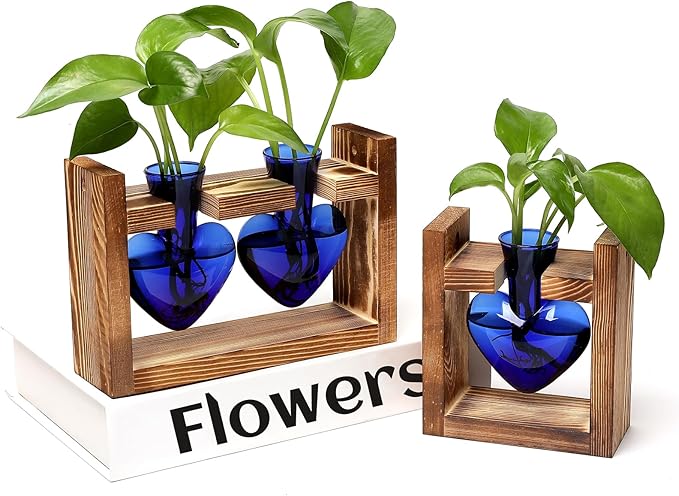 2+1 Plant Terrarium Plant Propagation Station Birthday Gifts for Women Home Office Decor with Wooden Stand