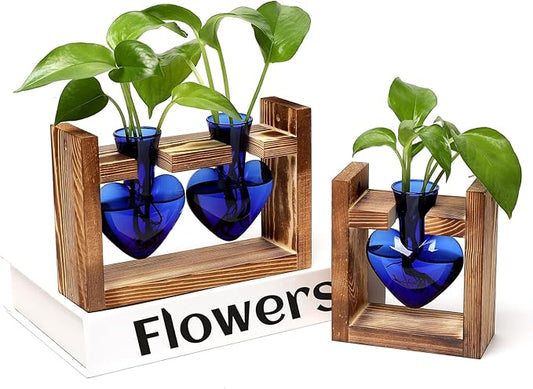 2+1 Plant Terrarium Plant Propagation Station Birthday Gifts for Women Home Office Decor with Wooden Stand