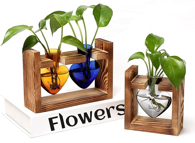 2+1 Plant Terrarium Plant Propagation Station Birthday Gifts for Women Home Office Decor with Wooden Stand