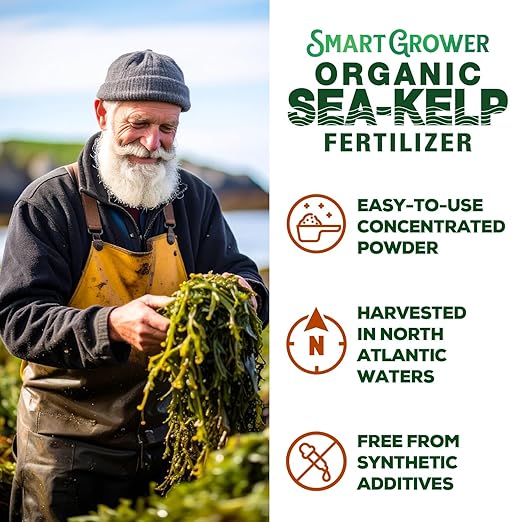Organic Sea Kelp Fertilizer for Plants – Water-Soluble – Makes 100 Gallons – Kelp Meal Concentrate Plant Food – for Indoor Gardens, Hydroponics, Vegetables, Houseplants - Smart Grower - 4oz Bag