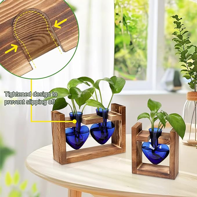 2+1 Plant Terrarium Plant Propagation Station Birthday Gifts for Women Home Office Decor with Wooden Stand