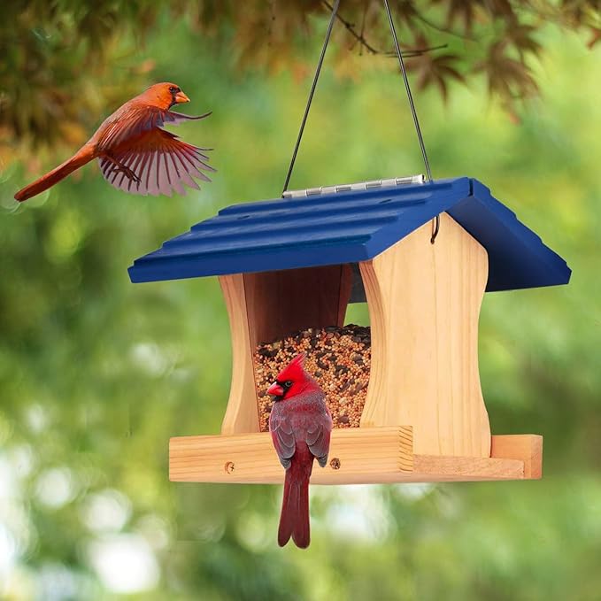 Ranch Hopper Bird Feeders for Outside Extra Thickness 13/16", Bird Feeder Kit for Kids to Build - Alaskan Red Cedar Wood Birdhouse Building with Hanging Cable, Paints and Brushes -Patented