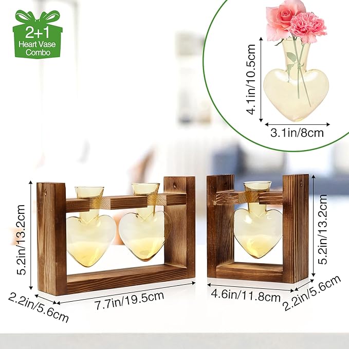 2+1 Plant Terrarium Plant Propagation Station Birthday Gifts for Women Home Office Decor with Wooden Stand