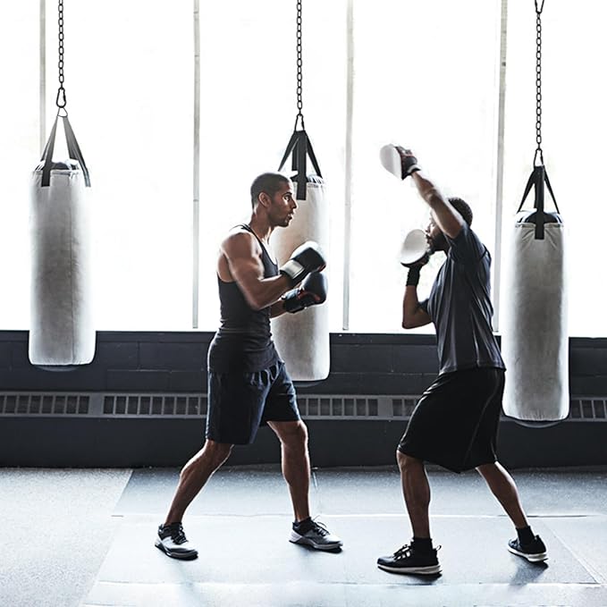 2 Pack 25in Hanging Swing Chain with 4 Carabiners, 440LB Capacity Hanging Kits Heavy Duty Hanging Chair Hardware for Hammock Swing Hanging Chair Punching Bags Sandbag Indoor Outdoor Yoga Gym (Black)