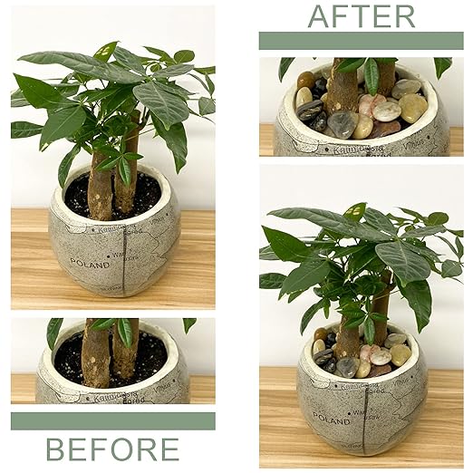 10 lbs Natural Pebbles for Plants, Small Polished Mixed Color River Rocks for Planters, Terrarium, Garden, Vase Fillers,Fish Tank and Outdoor Landscaping Rocks