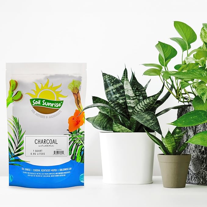 Horticultural Charcoal for Indoor Plants (1 Quart), Hardwood Soil Additive for Orchids, Terrariums, and Gardening