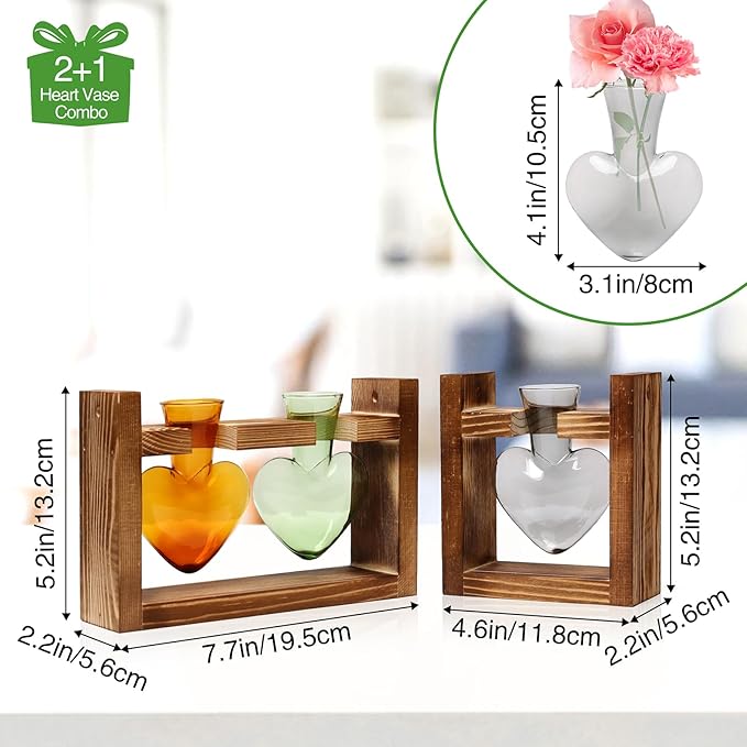 2+1 Plant Terrarium Plant Propagation Station Birthday Gifts for Women Home Office Decor with Wooden Stand