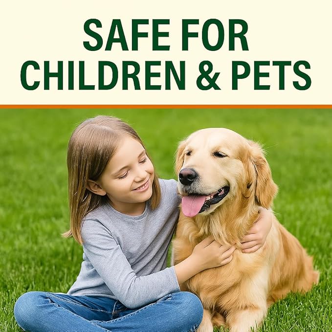 GS Plant Food Green Envy Liquid Lawn Food - Summer-Ready Organic Fertilizer for Heat-Stressed Lawns, All Grass Types (1 Gallon)