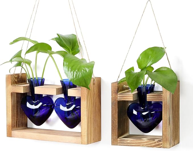 2+1 Plant Terrarium Plant Propagation Station Birthday Gifts for Women Home Office Decor with Wooden Stand