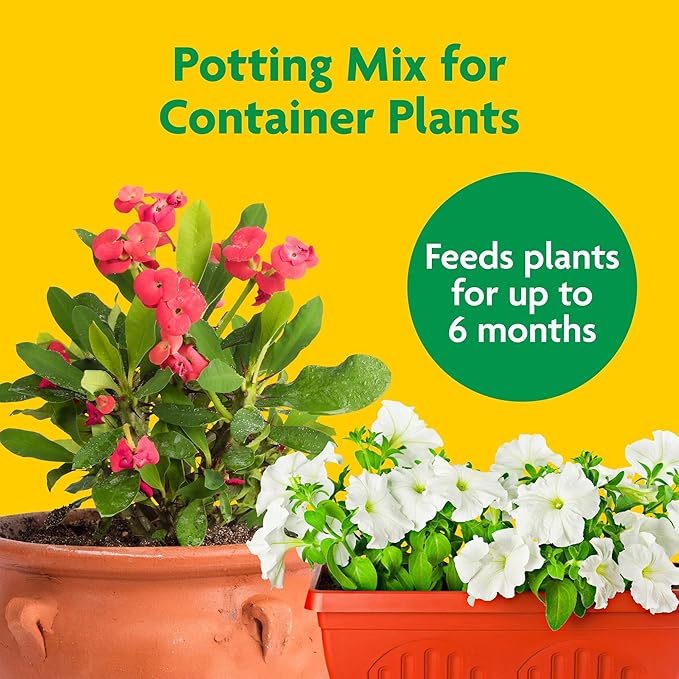 Miracle-Gro Potting Mix, For Container Plants, Flowers, Vegetables, Shrubs, Annuals, Perennials, Feeds up to 6 Months, 8 qt., 2-Pack