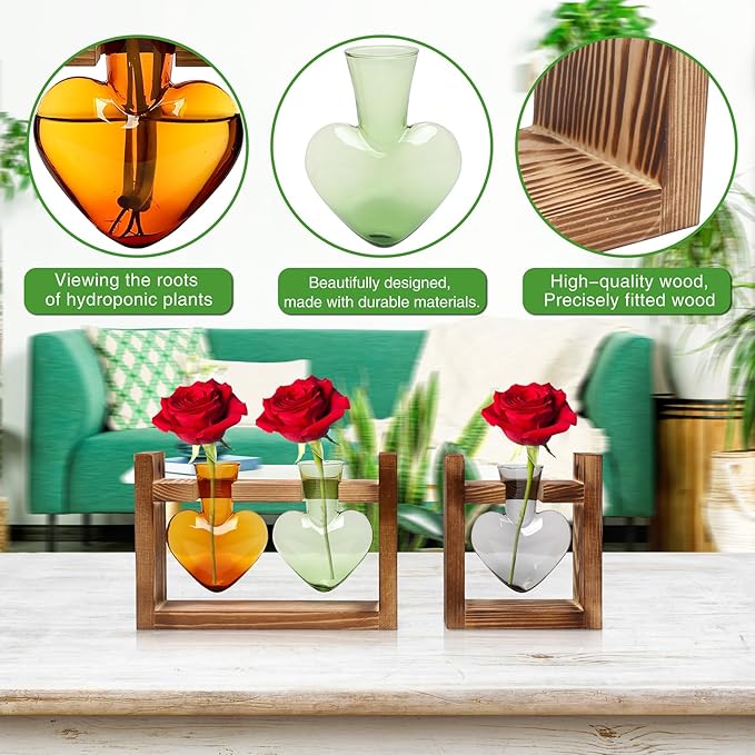 2+1 Plant Terrarium Plant Propagation Station Birthday Gifts for Women Home Office Decor with Wooden Stand