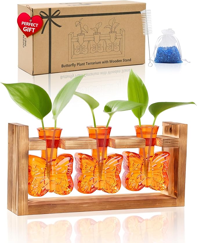 Nacome Plant Terrarium with Wooden Stand,Butterfly-Shaped Glass Vase Planter Propagation Station for Home Office Decor,Unique Gifts for Plant Lovers Women Mom(Orange)