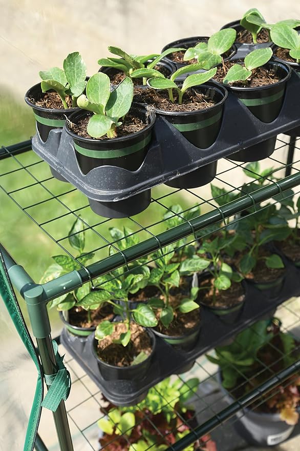 Miracle-Gro 4'8" x 29" x 6'5" All-Season Mini Walk-in Greenhouse with 4 Wire Shelves for Outdoors, Easy-Access and Durable, Translucent