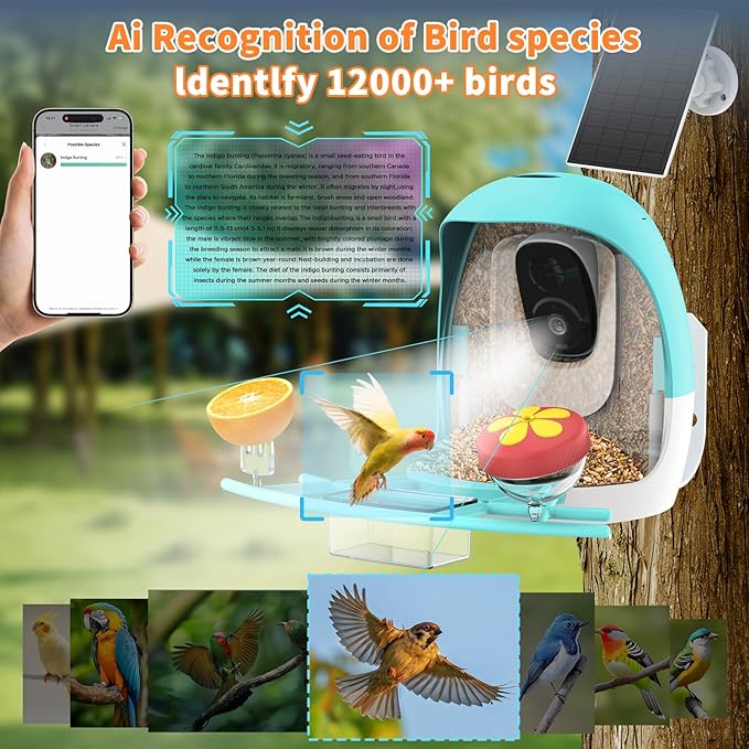 2025 New Smart Bird Feeder with Camera, 2.4GHz WiFi Solar Bird Feeder - 2K HD Live Video Camera AI Identify Birds, Instant Arrival Alerts, Birds Lover Gifts