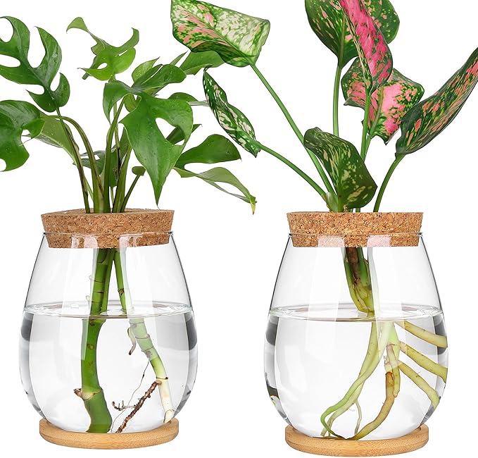 2Pcs Propagation Vases for Plants, Well-Made Plant Terrarium, Hydroponic Glass Container Vase Jars, Plant Lover Gifts for Women, Windowsill Kitchen Desktop Decorations