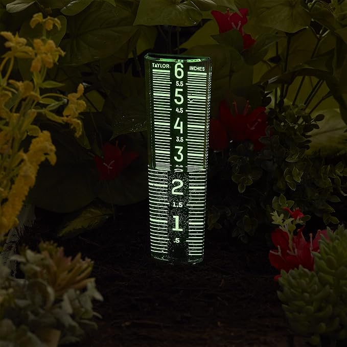 Taylor Glow-In-The-Dark Mountable Rain Gauge, Measure and Monitor Precipitation, Easy to Read for Backyard, Patio, Garden, and Lawn, 6-inch, Black and Green