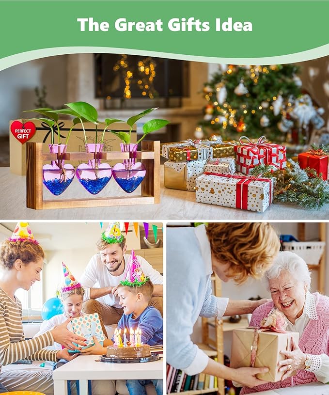 Nacome Plant Terrarium for Office Decor: Birthday Gifts for Plant Lovers Women Mom Wife - Wooden Stand Tabletop Planter 3 Bulb Glass Vase Heart Shaped for Hydroponics Indoor Home(Purple)