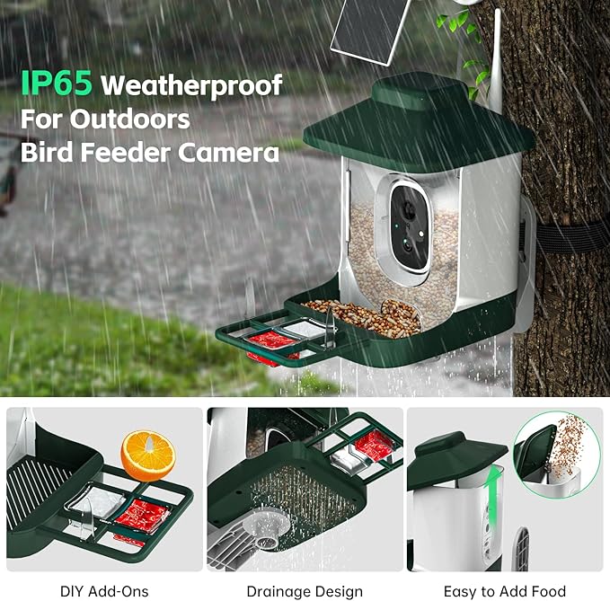 1 Year AI Smart Bird Feeder with Camera, AI Identify Bi rd Species Solar Powered,1080p Live Video Bird Feeder Camera, 2.4Ghz WiFi,Nstant Arrival Alerts - Best Gifts for Bi rd Lover