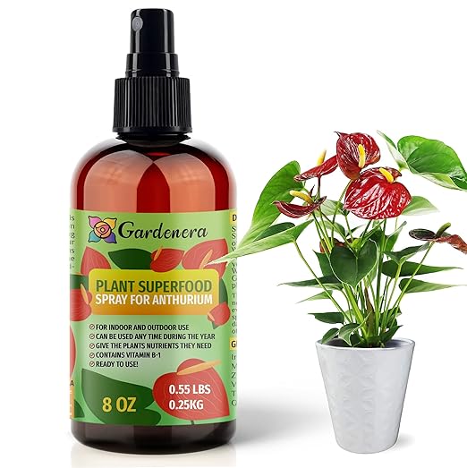 𝐁𝐄𝐒𝐓𝐒𝐄𝐋𝐋𝐄𝐑 Plant Superfood for ANTHURIUM Plants with B1 Vitamin, Glucose and Essential Minerals - Organic Plant Food Fertilizer for Indoor & Outdoor ANTHURIUM Plant Care - 8oz
