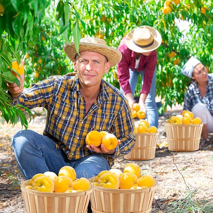 Marsui 8 Pcs Jumbo Half Bushel Baskets 14 x 9.5 inch Large Round Wooden Apple Basket with Handles Handcrafted Produce for Farmers Market Fall Harvest Fruit Personal or Commercial Use