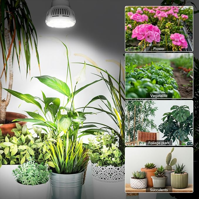 Grow Light Bulbs, A15 7W Plant Light Bulb for Indoor Growing, High PPFD, Full Spectrum, 60W Equivalent, E26 Base, LED Grow Lights for Indoor Plants, Seed Starting 3pack
