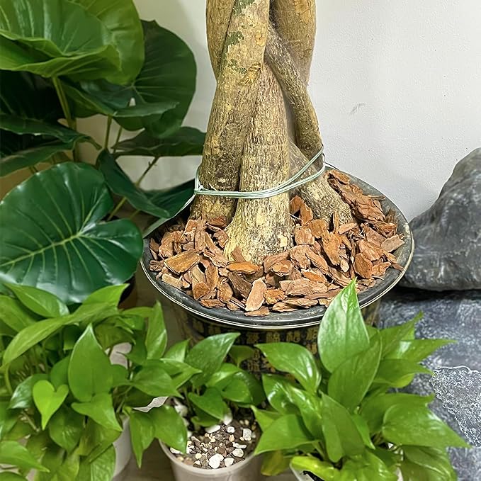 18 Quart Organic Orchid Bark for Potting-Natural Orchid Mulch for Potted Plants, Root Development of Orchid Plants and Garden Soil Amendment Mix……