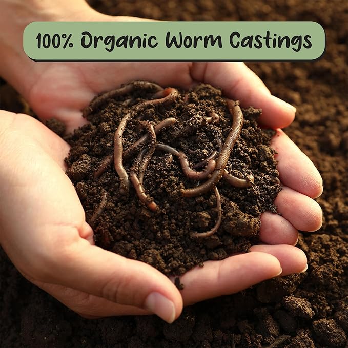 Premium Organic Worm Castings (1 Pound); 1QT All Natural Soil Additive, Builder, and Fertilizer