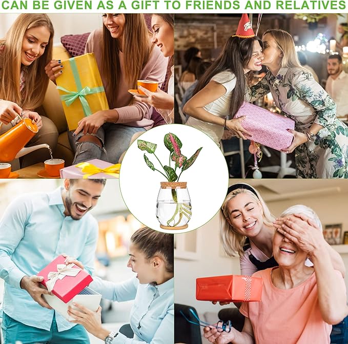 2Pcs Propagation Vases for Plants, Well-Made Plant Terrarium, Hydroponic Glass Container Vase Jars, Plant Lover Gifts for Women, Windowsill Kitchen Desktop Decorations