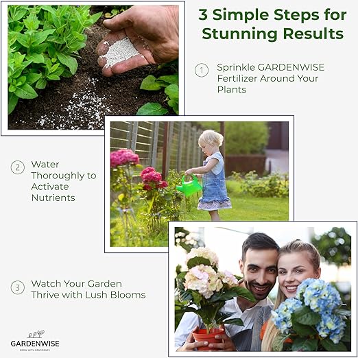 Slow Release Hydrangea Fertilizer with Iron & Sulfur – Indoor & Outdoor Soil Acidifier for Miracle Growth (12 oz)