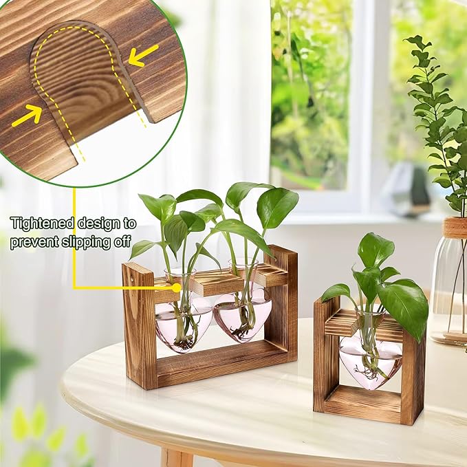 2+1 Plant Terrarium Plant Propagation Station Birthday Gifts for Women Home Office Decor with Wooden Stand