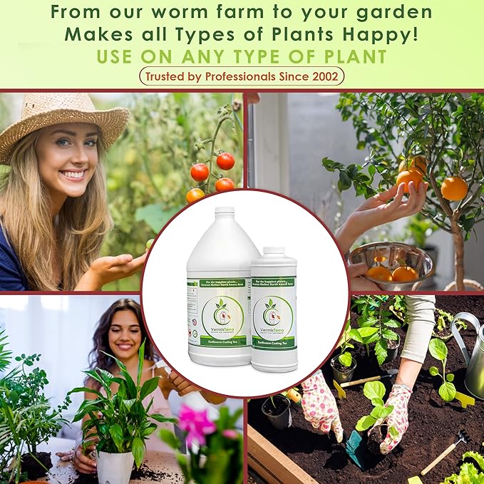 Worm Tea for Gardening - 32oz Quart - Organic Earthworm Soil Enhancer - Vermicompost with Kelp - Increase Yields, Boost Growth, Reduce Stress- Vegetables, Flowers, Fruit Trees - Plant Probiotic