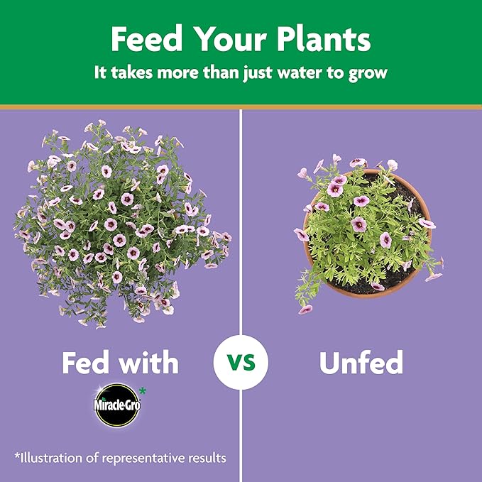 Miracle-Gro Water Soluble Bloom Booster Flower Food