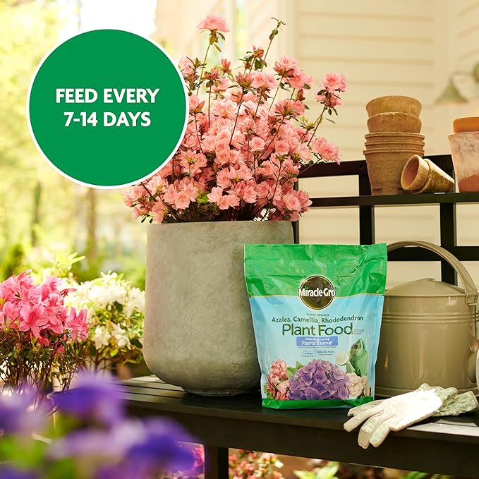 Miracle-Gro Water Soluble Azalea, Camellia, Rhododendron Plant Food - Fertilizer for Acid-Loving Plants & Flowers, 5 lb.