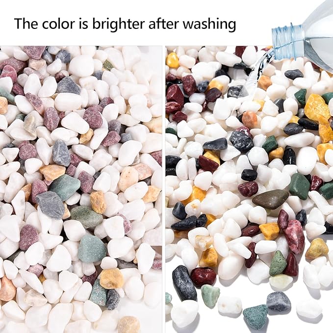 2LB Succulent and Cactus Gravel Pebbles, 1/4 Inch - 1/3 Inch Natural Decorative Polished Stones, River Rocks for Plants, Aquariums, Vases, Terrarium and Outdoor Gardening, 5 Mixed Colors