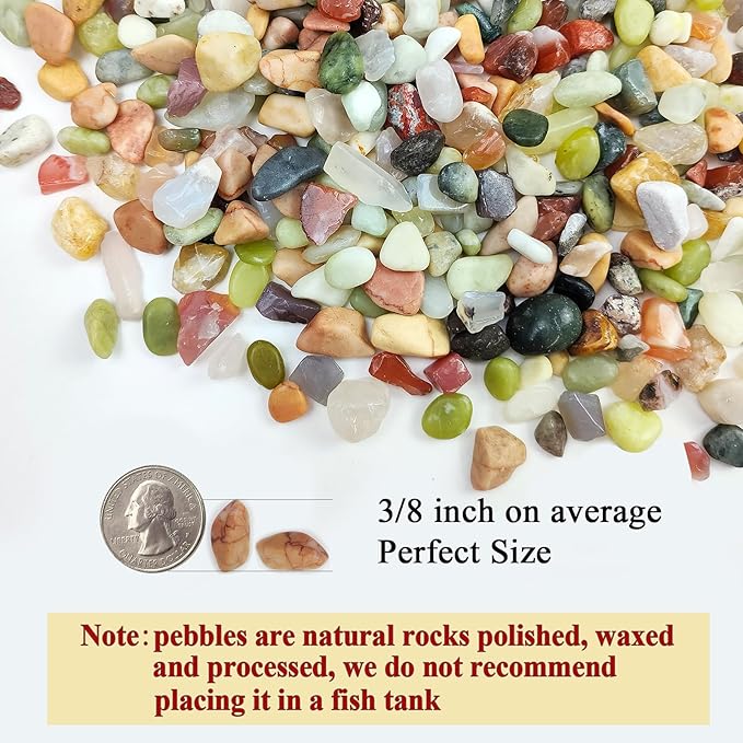 2 Pounds Pebbles for Plants, 3/8 Inch Succulent Rocks, Decorative Polished River Rocks for Plants Indoor, Vases, Cactus Planters, Bird Bath, Craft and Fairy Garden