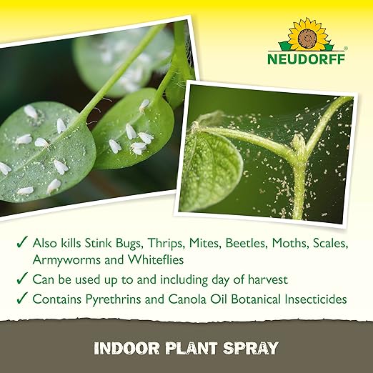 Neudorff Indoor Plant Spray for House Plants & Greenhouse, Kills Spider Mites, and Scale and 100+ Listed Insects on Contact for Organic Gardening, Contact Insecticide, Ovicide (32 oz)