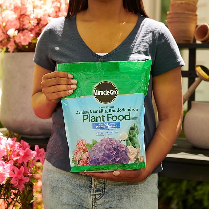 Miracle-Gro Water Soluble Azalea, Camellia, Rhododendron Plant Food - Fertilizer for Acid-Loving Plants & Flowers, 5 lb.