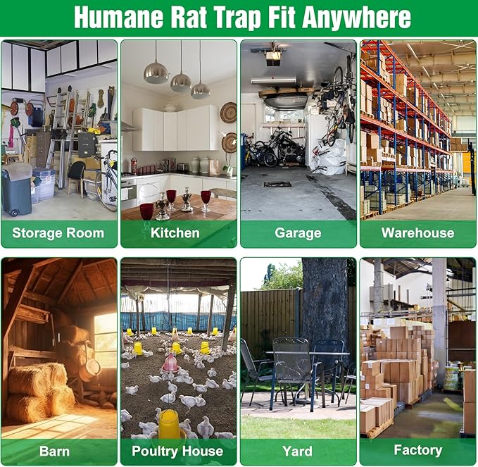 2 Packs Humane Rat Trap Outdoor, Wanqueen Humane Mouse Traps Indoor, Small Rodent Chipmunk Trap and Other Live Animal Cage Catch and Release