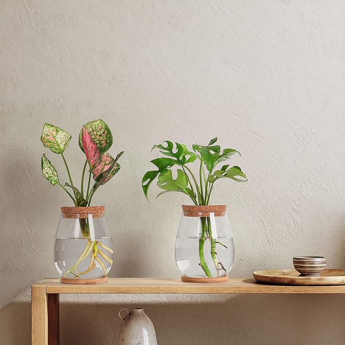 2Pcs Propagation Vases for Plants, Well-Made Plant Terrarium, Hydroponic Glass Container Vase Jars, Plant Lover Gifts for Women, Windowsill Kitchen Desktop Decorations