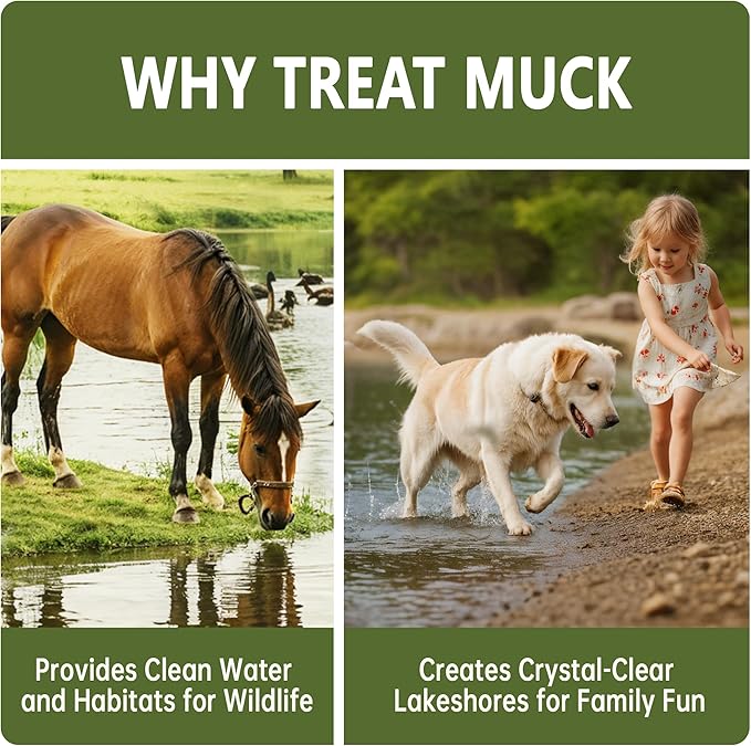Muck Reducer - 1LB Natural Sludge Solution Tablets for Ponds & Lakes, Away Muck & Odor Control, Safe for Aquatic Life, Wildlife & Recreation, Treats Up to 6,000 Sq Ft